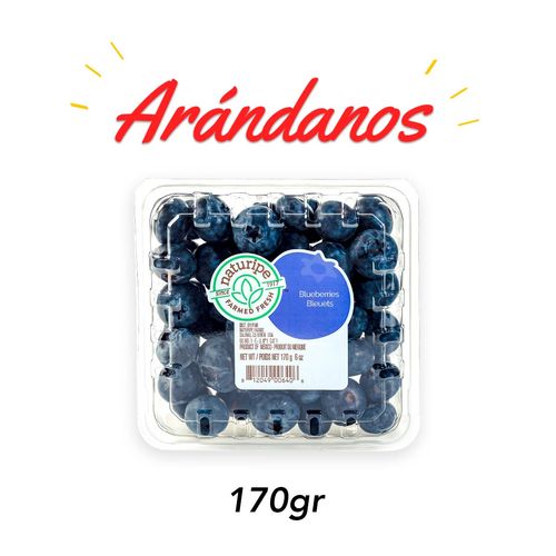 Arándano 170g. (Presentación Individual)