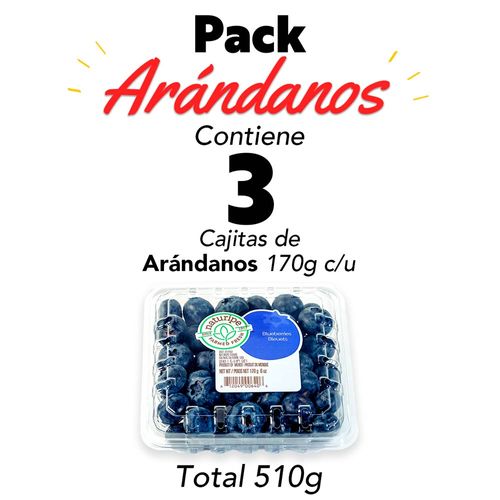 Arándano 510g